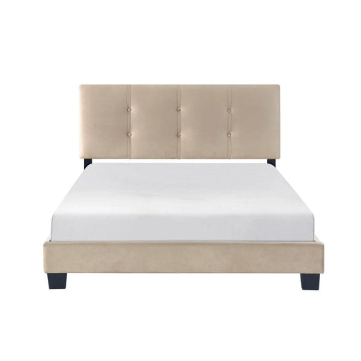 Newberry Full & Twin Bed image